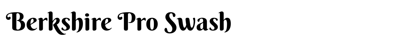 Berkshire Pro Swash